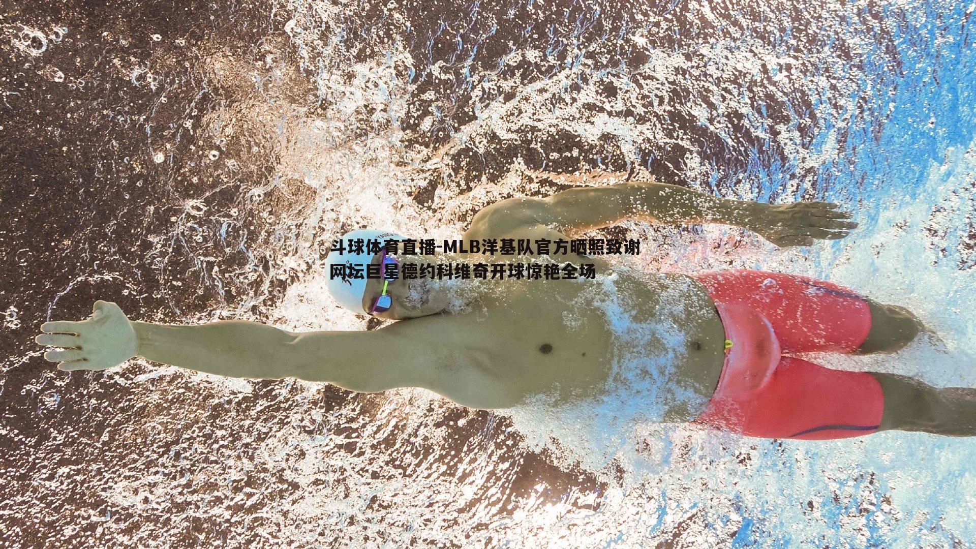 MLB洋基队官方晒照致谢 网坛巨星德约科维奇开球惊艳全场